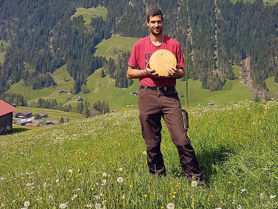 Rätisches Grauvieh hinter Gstaad