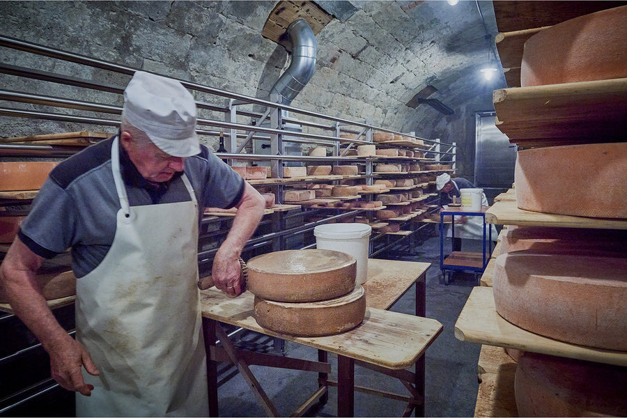 Rohmilchkäse: Das Echte, das Gute – und warum wir nie aufhören, dafür zu kämpfen