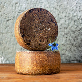 Frühlingsschaf 200g