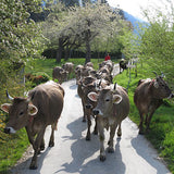 Summaprada Braunvieh 200g