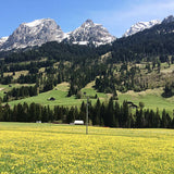 Alpschaf 200g