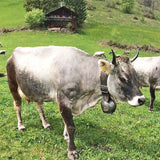 Rätisches Grauvieh 200g